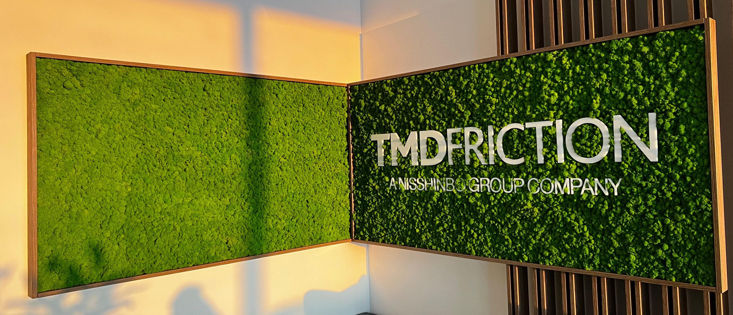 litere volumetrice decorative din licheni stabilizati