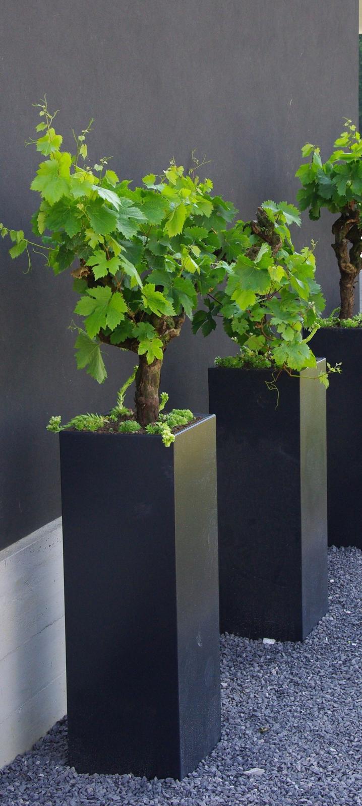Jardiniere pătrate înalte Timișoara — design vertical modern, producție Indio