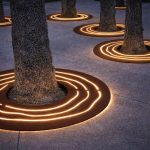 Protectie arbori signature