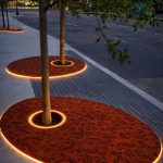 Protectie arbori urban