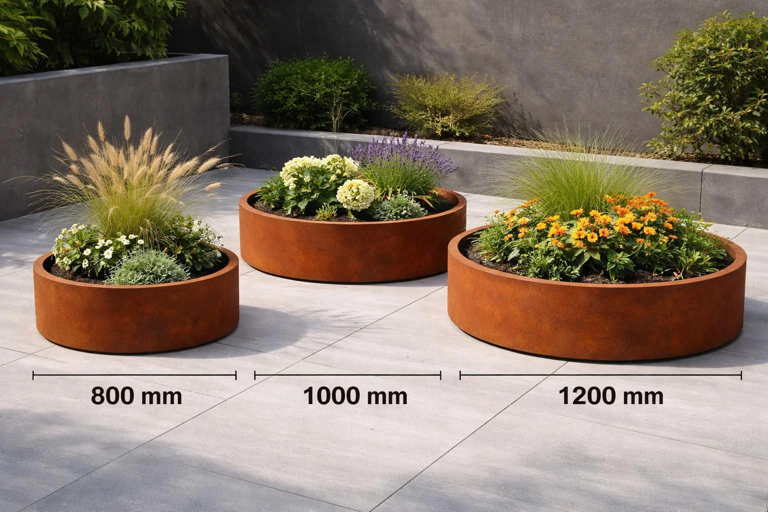 Jardiniere cu spalier Jardiniere cu spalier metalic