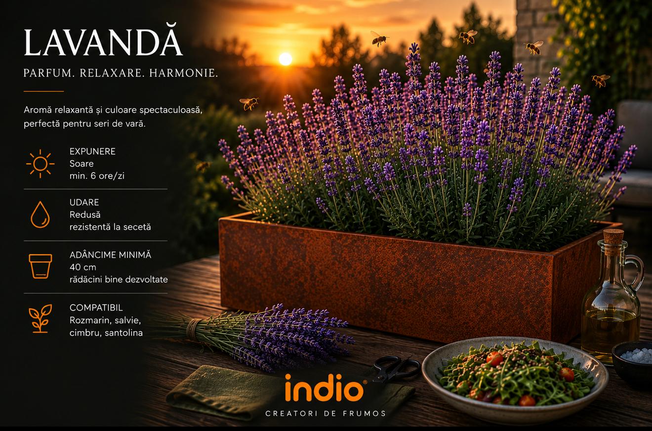 Lavandă într-o jardinieră metalică Indio