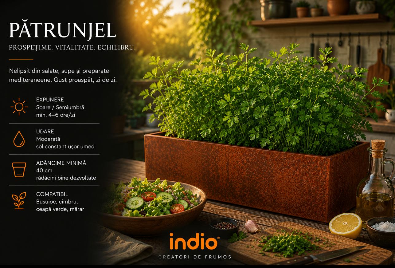 Pătrunjel într-o jardinieră metalică Indio